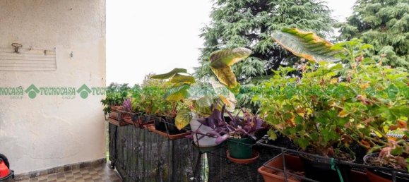 3 bedrooms Apartment in Valsamoggia, Italy No. 52628 7