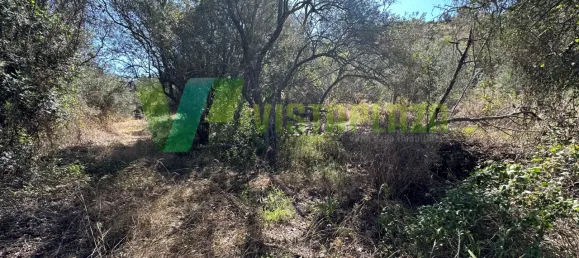 Земельный участок 1240м² в Сан Бартоломеу де Мессинеш, Португалия № 72064 3