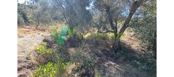 Земельный участок 1240м² в Сан Бартоломеу де Мессинеш, Португалия № 72064 4