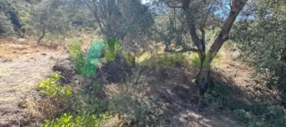 Земельный участок 1240м² в Сан Бартоломеу де Мессинеш, Португалия № 72064 8