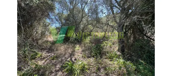 Земельный участок 1240м² в Сан Бартоломеу де Мессинеш, Португалия № 72064 2