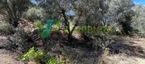 Земельный участок 1240м² в Сан Бартоломеу де Мессинеш, Португалия № 72064 5