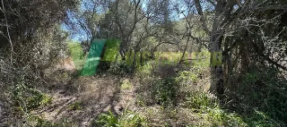 Земельный участок 1240м² в Сан Бартоломеу де Мессинеш, Португалия № 72064 6