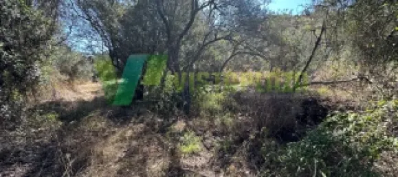 Земельный участок 1240м² в Сан Бартоломеу де Мессинеш, Португалия № 72064 7