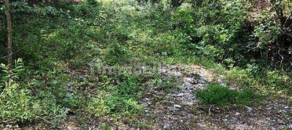 Terreno em Gorizia, Italy 2217 m² N.º 149023 8