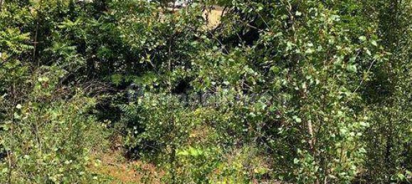 Terreno em Gorizia, Italy 2217 m² N.º 149023 21