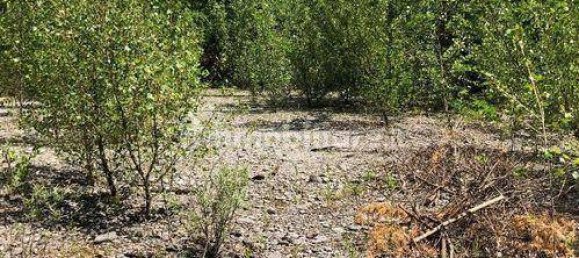 Terreno em Gorizia, Italy 2217 m² N.º 149023 17