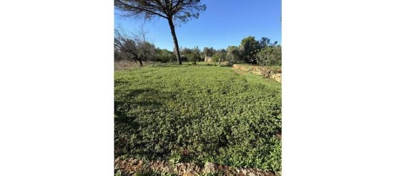 10 rooms Villa in Parabita, Italy No. 26830 28