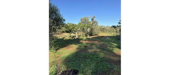 10 rooms Villa in Parabita, Italy No. 26830 44