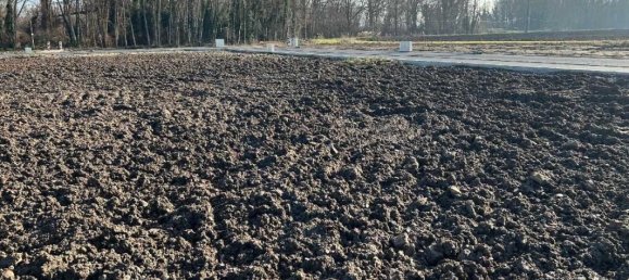 Terreno em Marckolsheim, France 428 m² N.º 239554 2