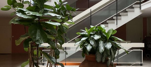 Apartamento T1 em Munich, Germany N.º 236019 4