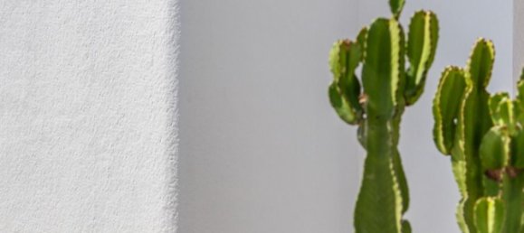 3 bedrooms Villa in San Fulgencio, Spain No. 6585 18