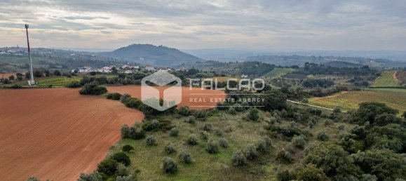 35720m² Land in Alenquer, Portugal No. 45080 12
