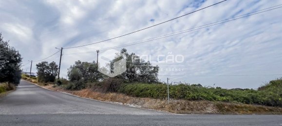 35720m² Land in Alenquer, Portugal No. 45080 35