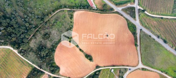 35720m² Land in Alenquer, Portugal No. 45080 2