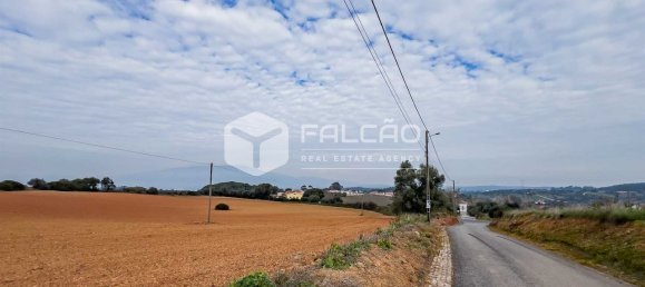 35720m² Land in Alenquer, Portugal No. 45080 29