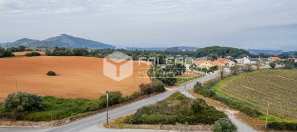 35720m² Land in Alenquer, Portugal No. 45080 25
