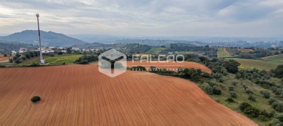 35720m² Land in Alenquer, Portugal No. 45080 11