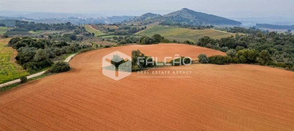 35720m² Land in Alenquer, Portugal No. 45080 22