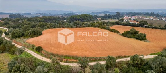 35720m² Land in Alenquer, Portugal No. 45080 19