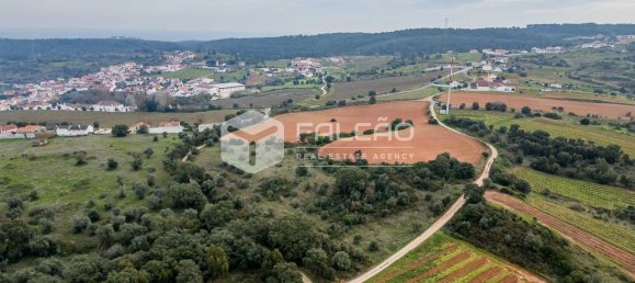 35720m² Land in Alenquer, Portugal No. 45080 15