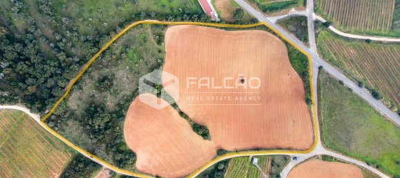 35720m² Land in Alenquer, Portugal No. 45080 3