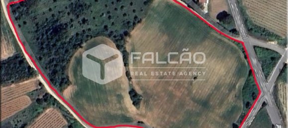 35720m² Land in Alenquer, Portugal No. 45080 37