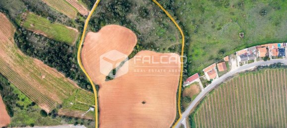 35720m² Land in Alenquer, Portugal No. 45080 5