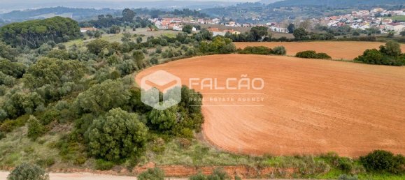 35720m² Land in Alenquer, Portugal No. 45080 17