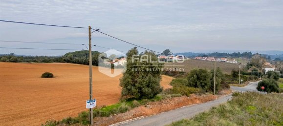 35720m² Land in Alenquer, Portugal No. 45080 7