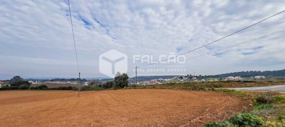 35720m² Land in Alenquer, Portugal No. 45080 28