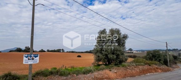 35720m² Land in Alenquer, Portugal No. 45080 34