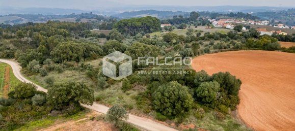 35720m² Land in Alenquer, Portugal No. 45080 18