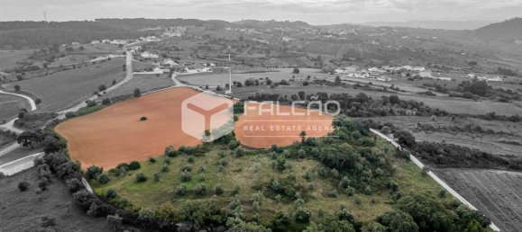 35720m² Land in Alenquer, Portugal No. 45080 14