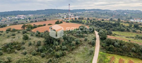 35720m² Land in Alenquer, Portugal No. 45080 16