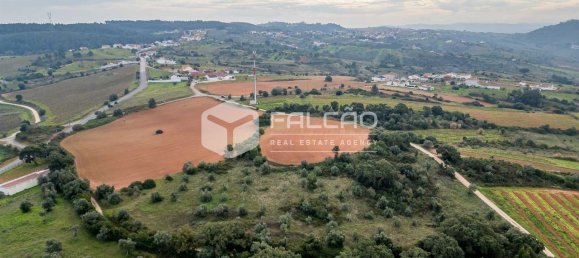 35720m² Land in Alenquer, Portugal No. 45080 13