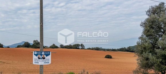 35720m² Land in Alenquer, Portugal No. 45080 33