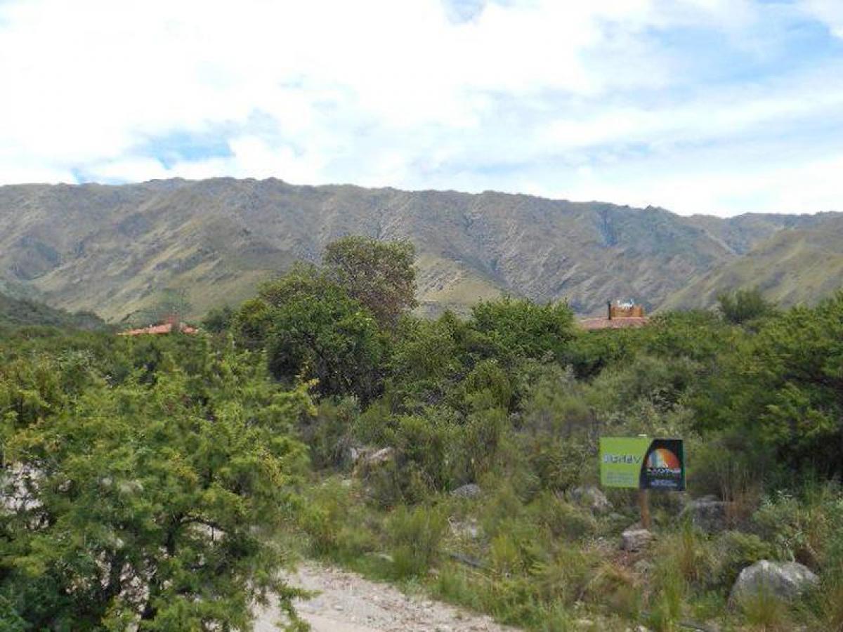  Land in San Luis, Argentina No. 49683