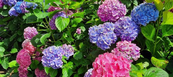 6-Zimmer Haus in Udine, Italy, Nr. 228933 16