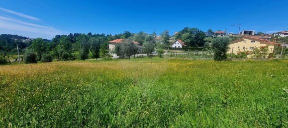 2380m² Land in Guilhofrei, Portugal No. 161267 17
