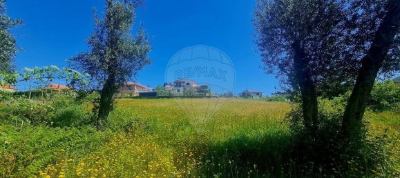 2380m² Land in Guilhofrei, Portugal No. 161267 20
