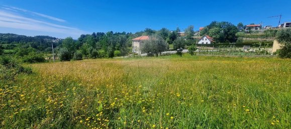 2380m² Land in Guilhofrei, Portugal No. 161267 4