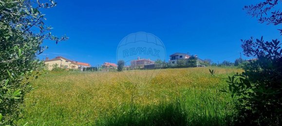 2380m² Land in Guilhofrei, Portugal No. 161267 6