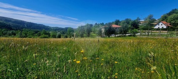 2380m² Land in Guilhofrei, Portugal No. 161267 11