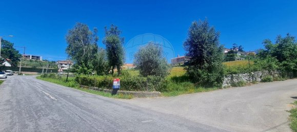 2380m² Land in Guilhofrei, Portugal No. 161267 19