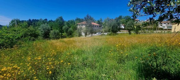 2380m² Land in Guilhofrei, Portugal No. 161267 9