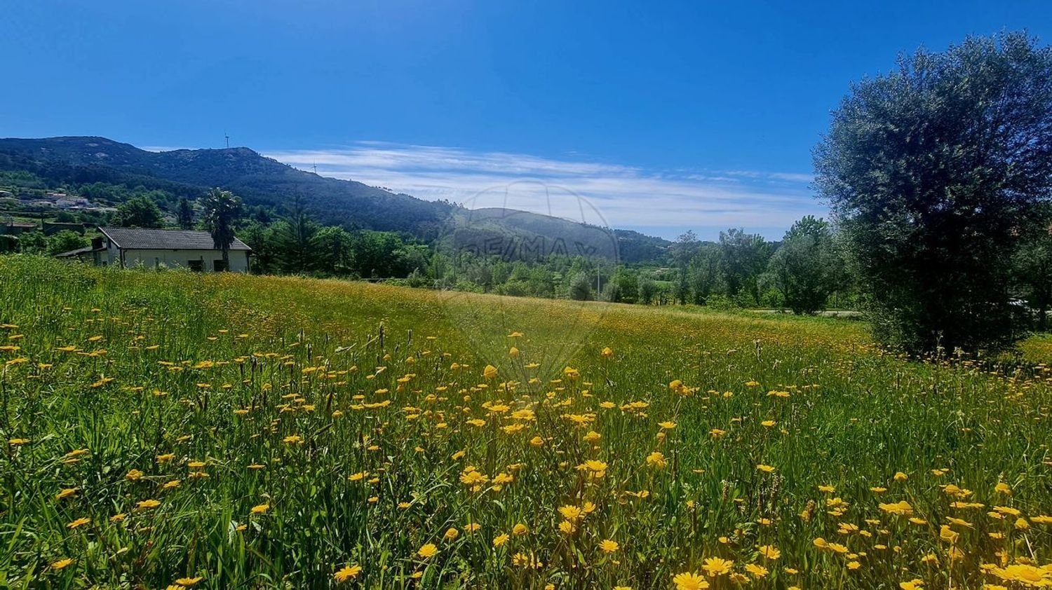 2380m² Land in Guilhofrei, Portugal No. 161267