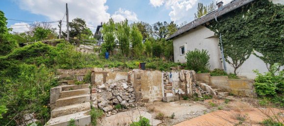 Terrain à Klosterneuburg, Austria No. 120794 5