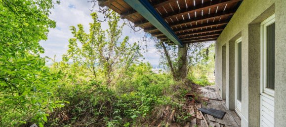 Terrain à Klosterneuburg, Austria No. 120794 9