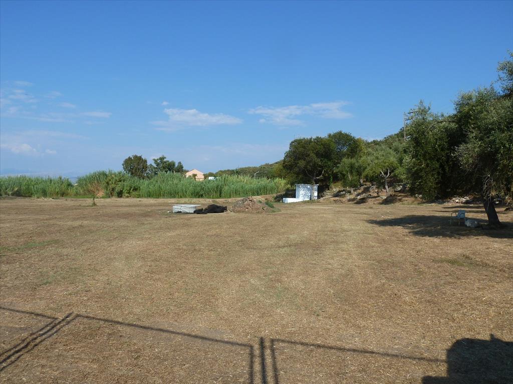 8866 m² hotel en venta en Corfu, Central Corfu and Diapontian Islands, Corfu, Ionian Islands, Peloponnese, Western Greece and the Ionian, Greece № 5862